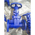 F5 DIN3352 CAST IRON VALVE